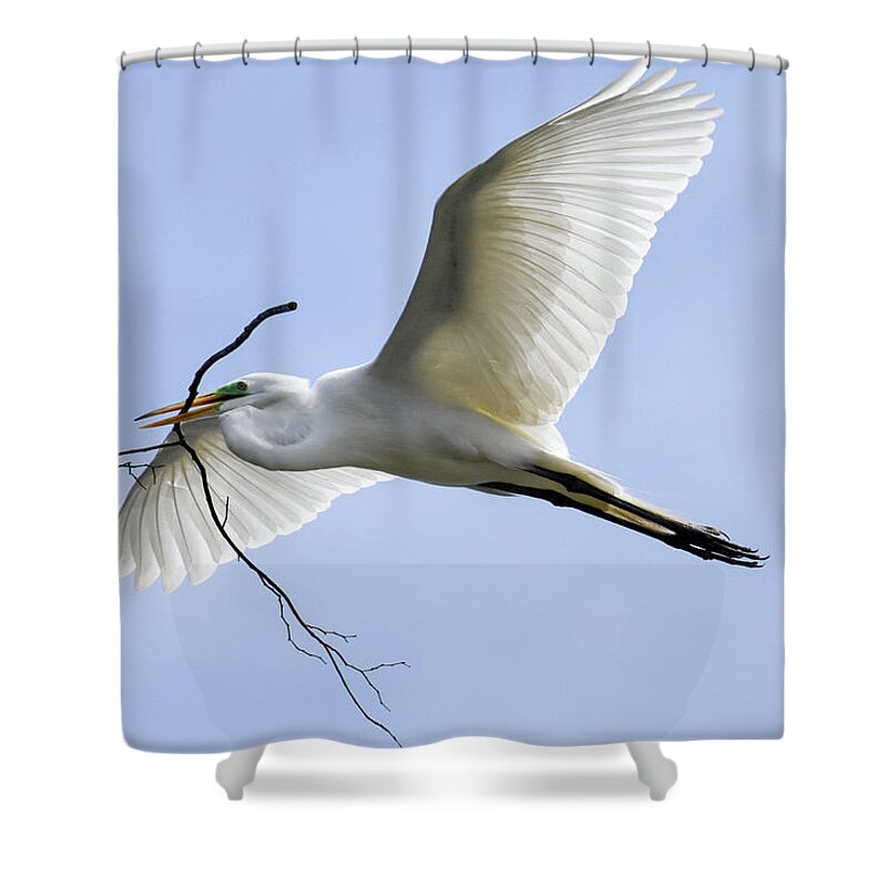 Birds Shower Curtain featuring the photograph Building a Home by Gary Wightman