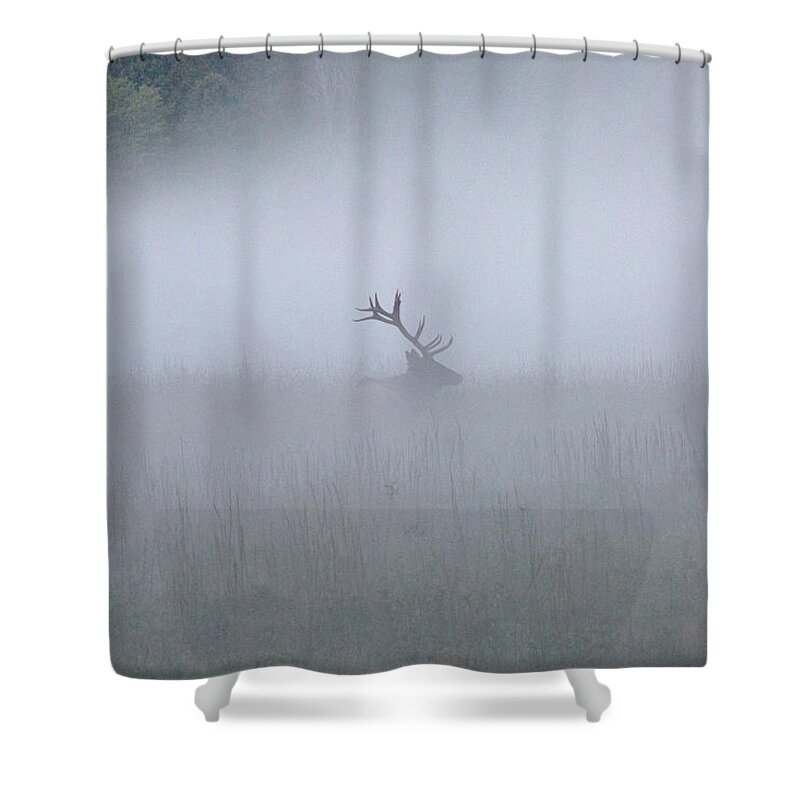 Elk Shower Curtain featuring the photograph Bull Elk in Fog - September 30, 2016 by D K Wall