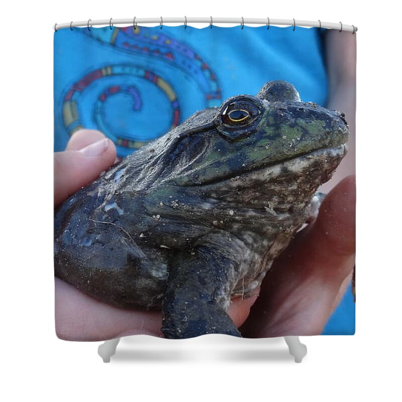 Frog Shower Curtain featuring the photograph Bull by Eric Dee