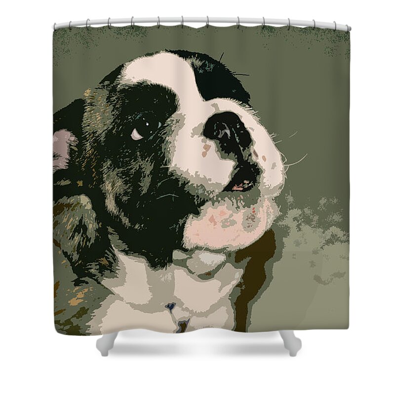 English Bulldog Shower Curtain featuring the photograph Bulldog Puppy by Geoff Jewett