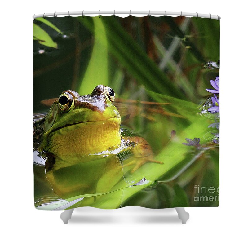 Bullfrog Shower Curtain featuring the photograph Bullfrog and the Pickeral by Jennifer Robin