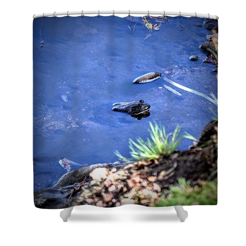 Bullfrog Shower Curtain featuring the photograph Bullfrog Blues by Michael Brungardt