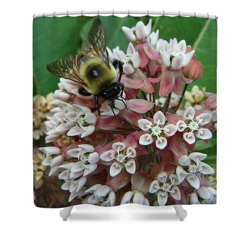 Insect Shower Curtain featuring the photograph Bumble Bee by Carl Moore