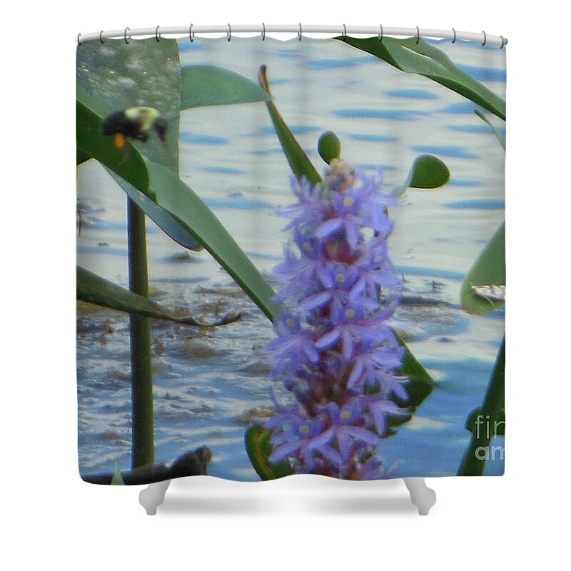 Bumblebee Shower Curtain featuring the photograph Bumblebee Pickerelweed Moth by Rockin Docks Deluxephotos