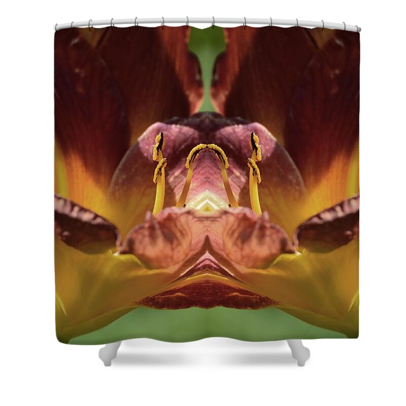 Abstract Shower Curtain featuring the photograph Burgundy Lily Mandala by Lyle Crump