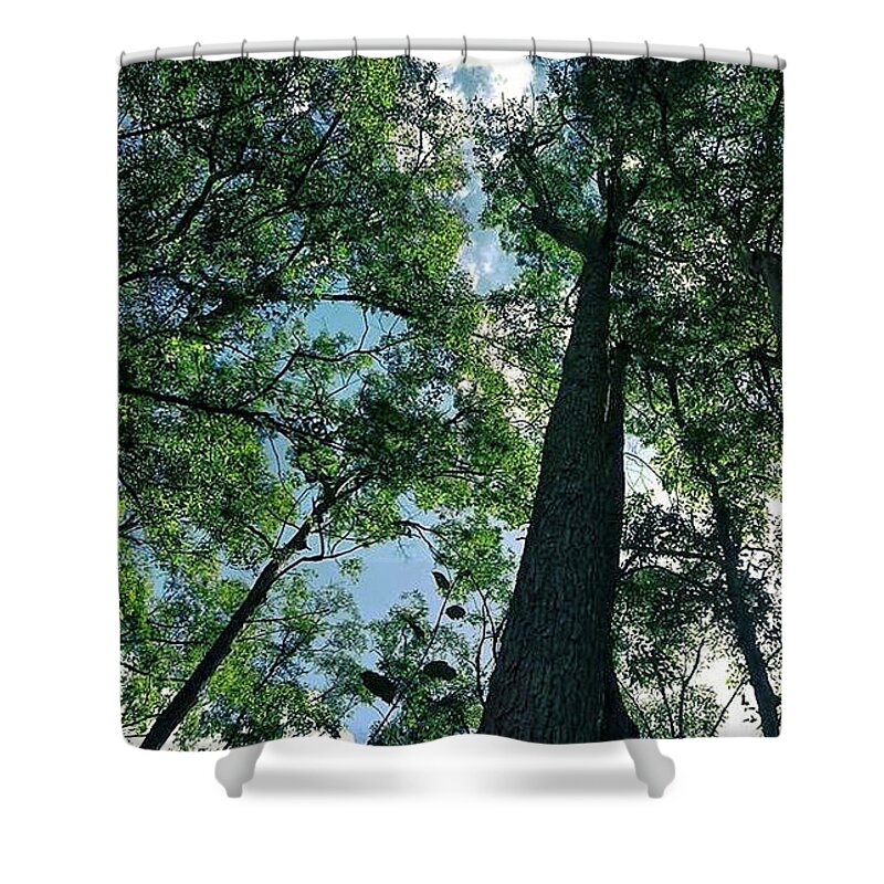 Landscape Shower Curtain featuring the photograph Bush Trees by Michael Blaine