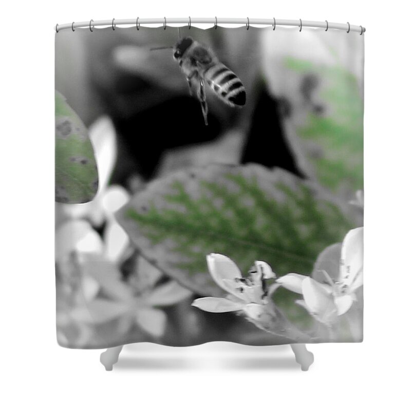 Bee Shower Curtain featuring the photograph Busy Bee by Beth Wiseman