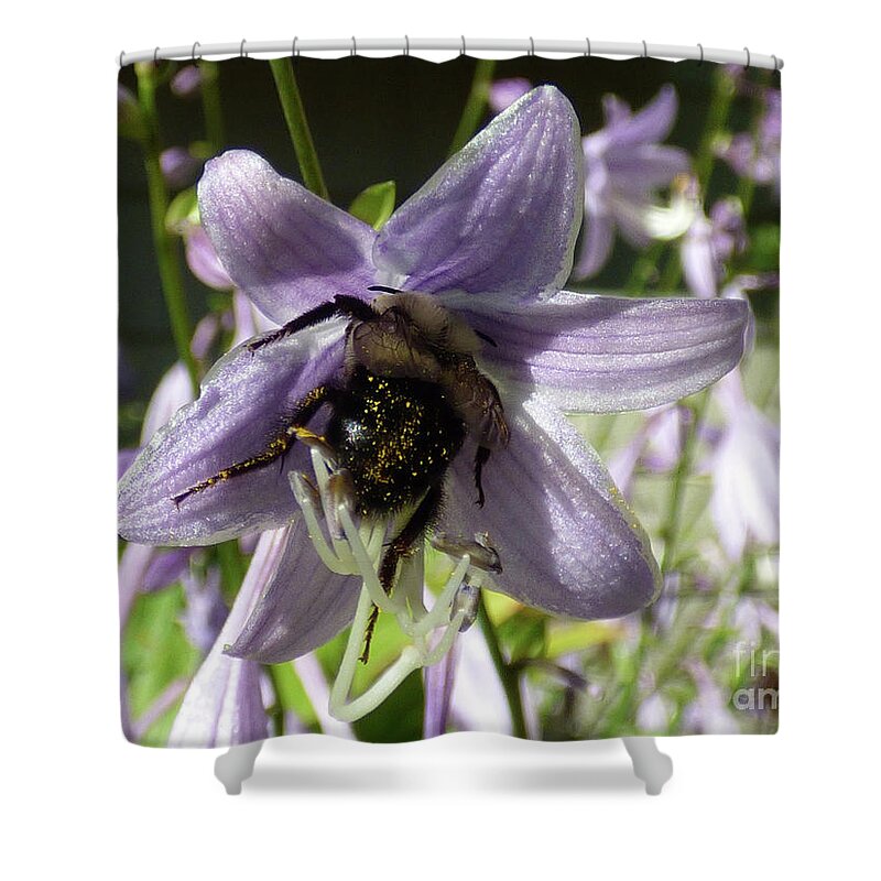 Bee Shower Curtain featuring the photograph Busy Bee by Leara Nicole Morris-Clark