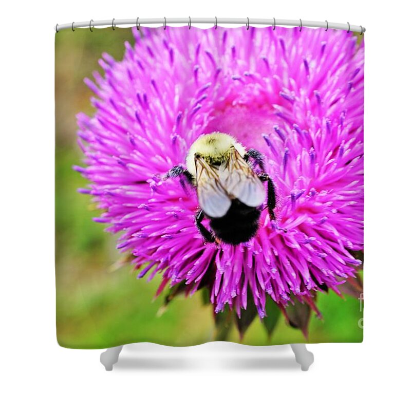 Bee Shower Curtain featuring the photograph Busy Bee by Merle Grenz