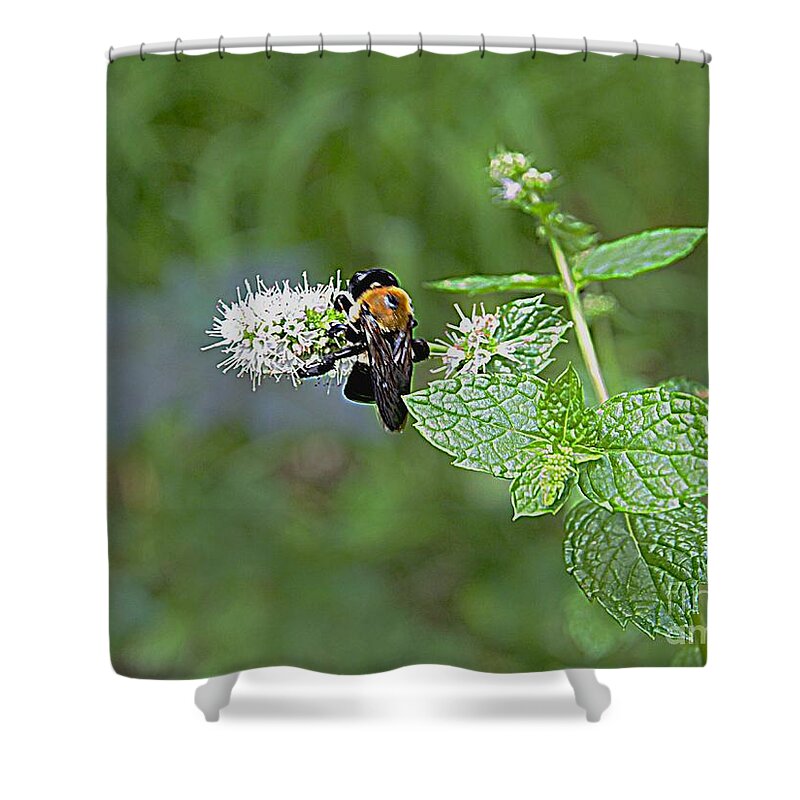 Photography Shower Curtain featuring the photograph Busy Bee by Nancy Kane Chapman