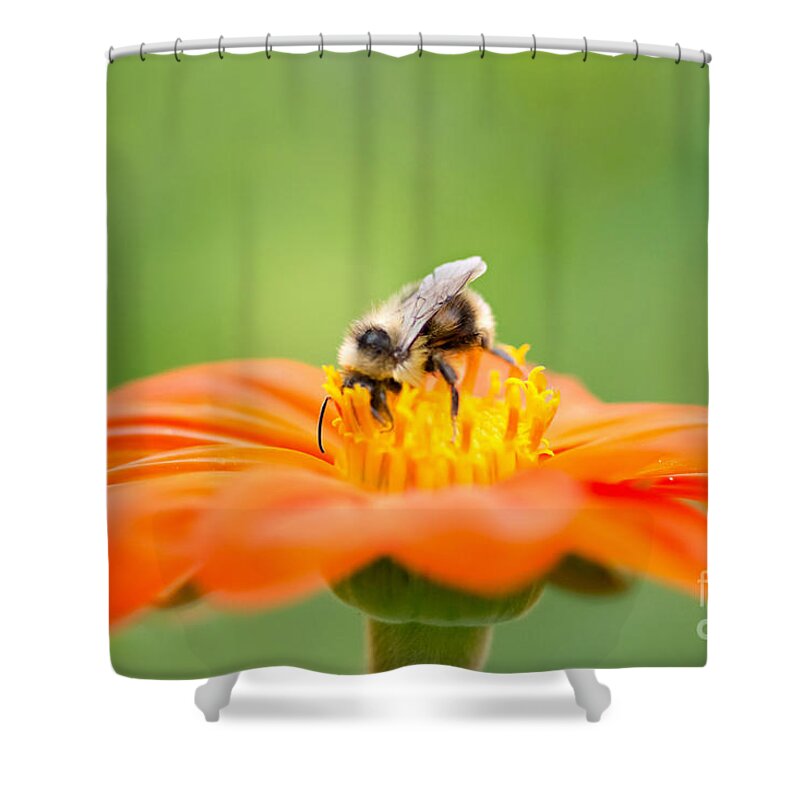 Bee Shower Curtain featuring the photograph Busy Bee by Susan Garver
