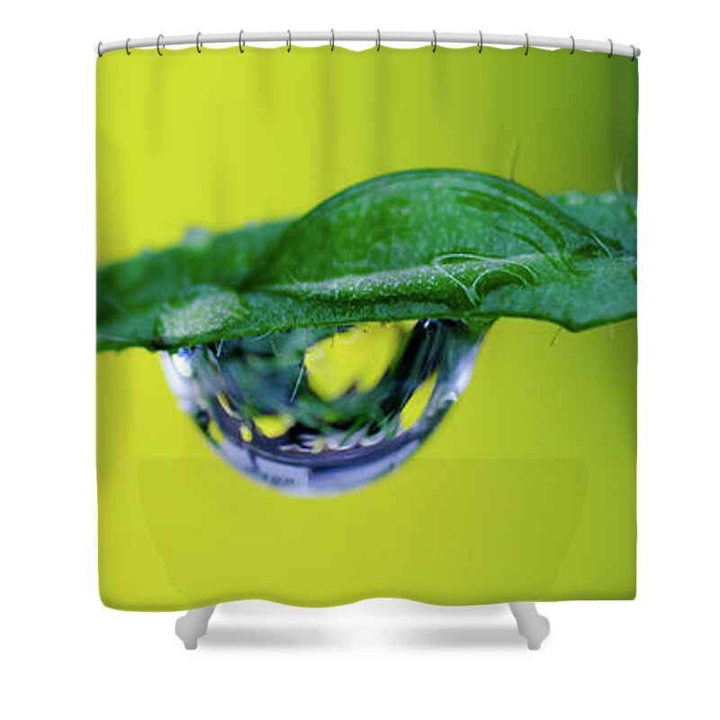 Water Drop Shower Curtain featuring the photograph Buttercup Rain Drop by Crystal Wightman