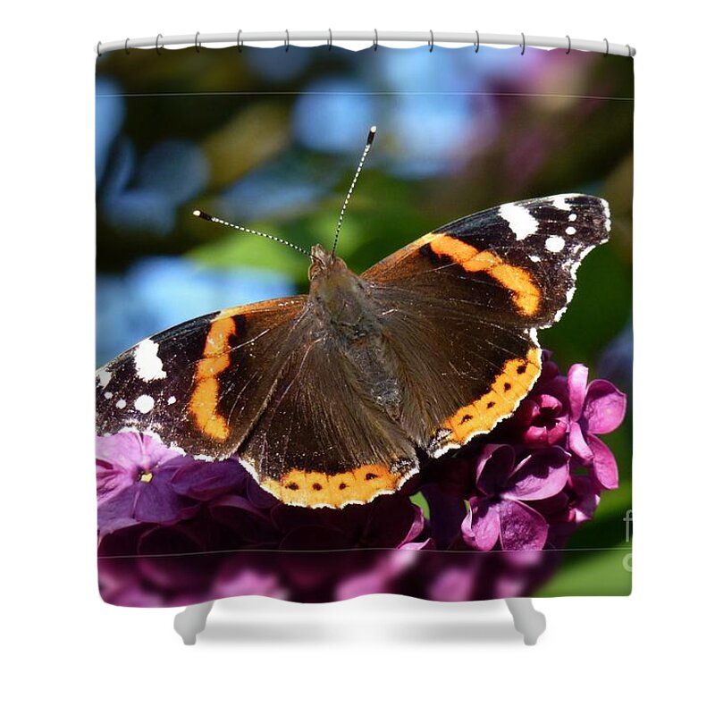 Beautiful Shower Curtain featuring the photograph Butterfly 12 by Jean Bernard Roussilhe