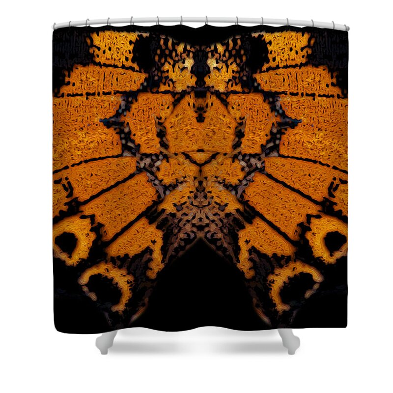 Butterfly Shower Curtain featuring the photograph Butterfly Abstract by Jeff Phillippi