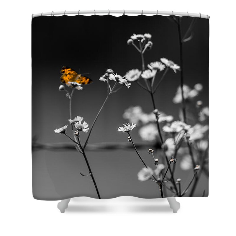 Butterfly Shower Curtain featuring the photograph Butterfly and Barb Wire by Holden The Moment