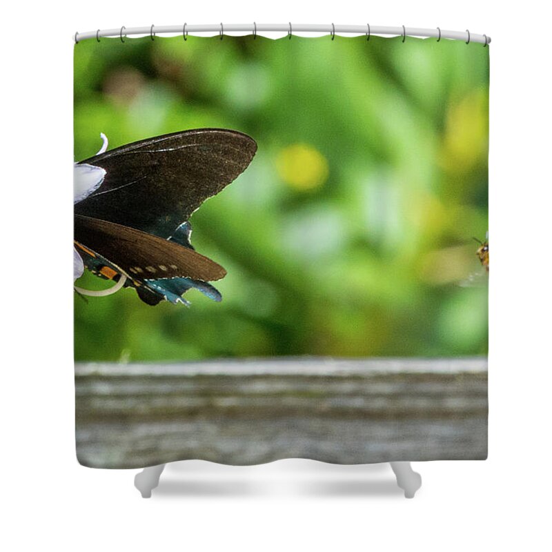 Butterfly Shower Curtain featuring the photograph Butterfly and Bee by D K Wall