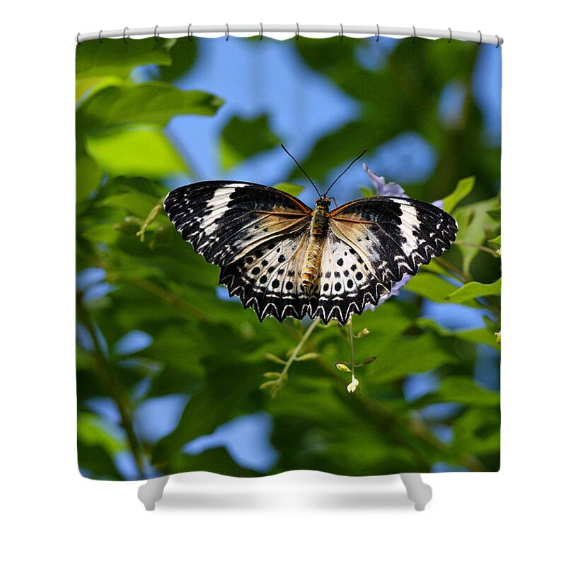 Butterfly Shower Curtain featuring the photograph Butterfly and Blue Sky by Sandy Keeton