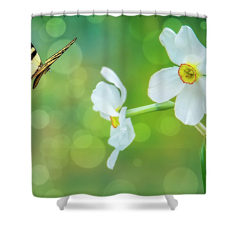Flowers Shower Curtain featuring the photograph Butterfly and Flowers by Cathy Kovarik