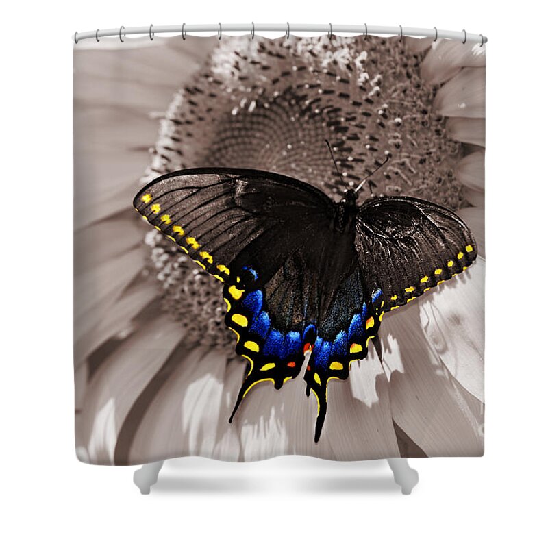 Butterfly Shower Curtain featuring the photograph Butterfly and Sunflower Sepia Color Splash by Eric Liller