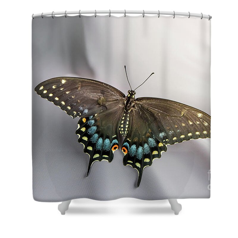 Animal Shower Curtain featuring the photograph Butterfly At Picnic by Robert Frederick