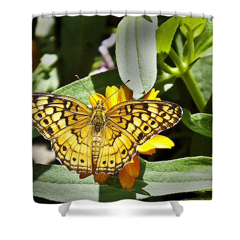 Butterfly Shower Curtain featuring the photograph Butterfly at Rest by Bill Barber