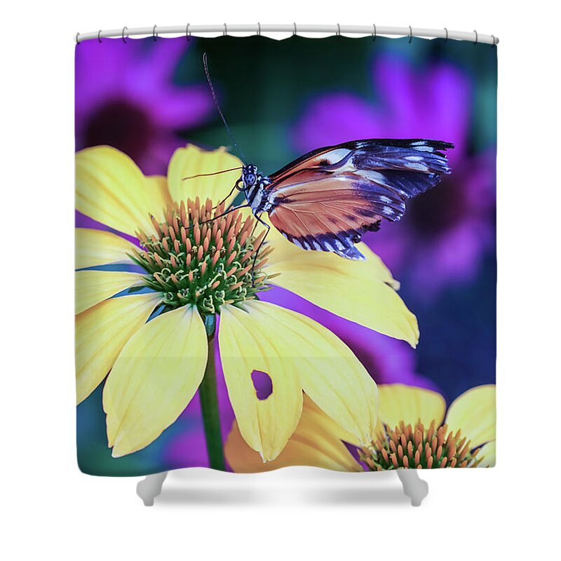  Shower Curtain featuring the photograph Butterfly Blues by Rebekah Zivicki