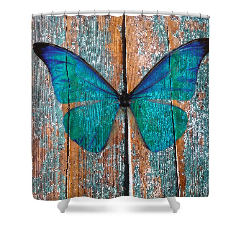 Butterfly Shower Curtain featuring the photograph Butterfly Exhibition 1 by Anthony Robinson
