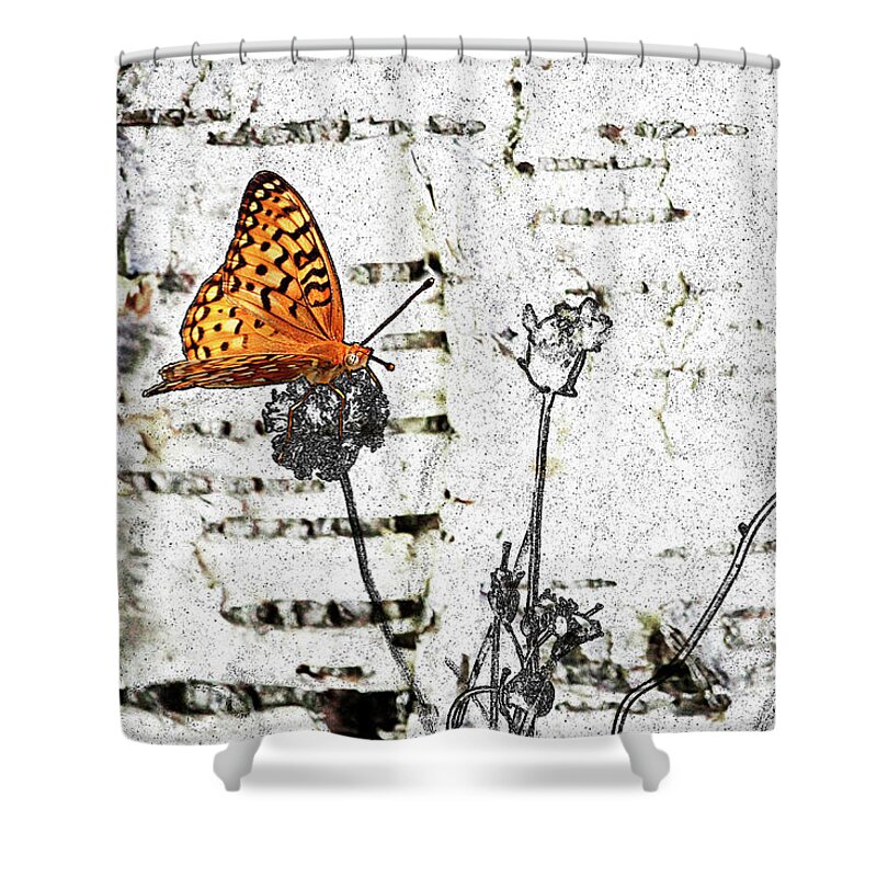 Butterfly Shower Curtain featuring the digital art Butterfly by K Bradley Washburn