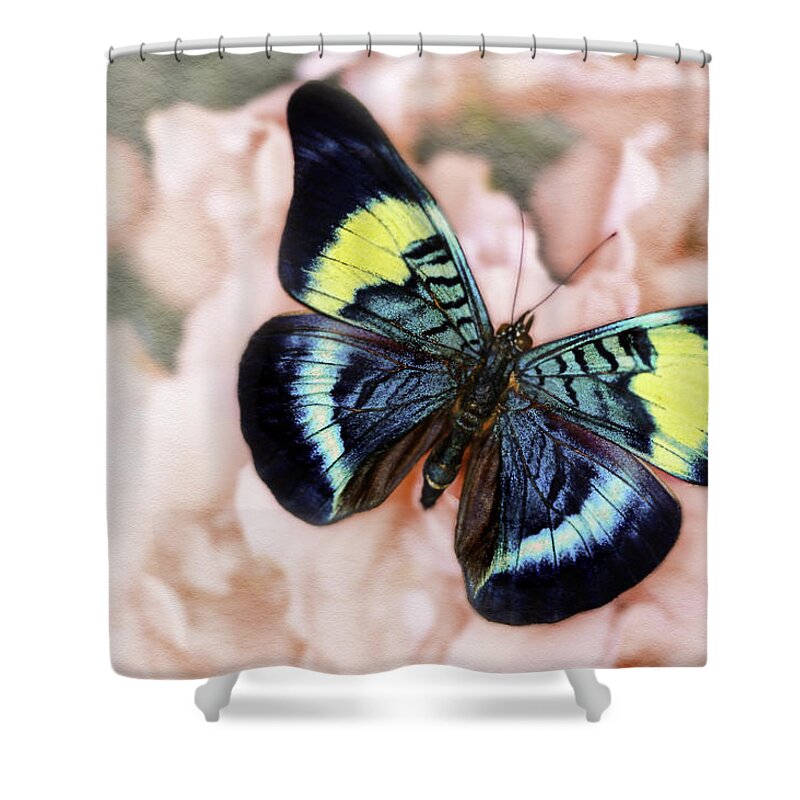 Panacea Prola Shower Curtain featuring the photograph Butterfly Kisses by Janet Fikar