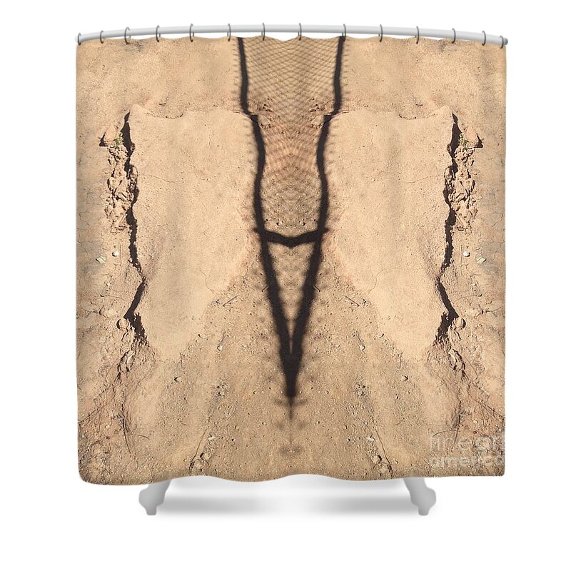Butterfly Shower Curtain featuring the photograph Butterfly by Nora Boghossian