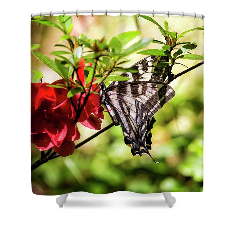 Butterfly Shower Curtain featuring the photograph Butterfly on an Azalea by Belinda Greb