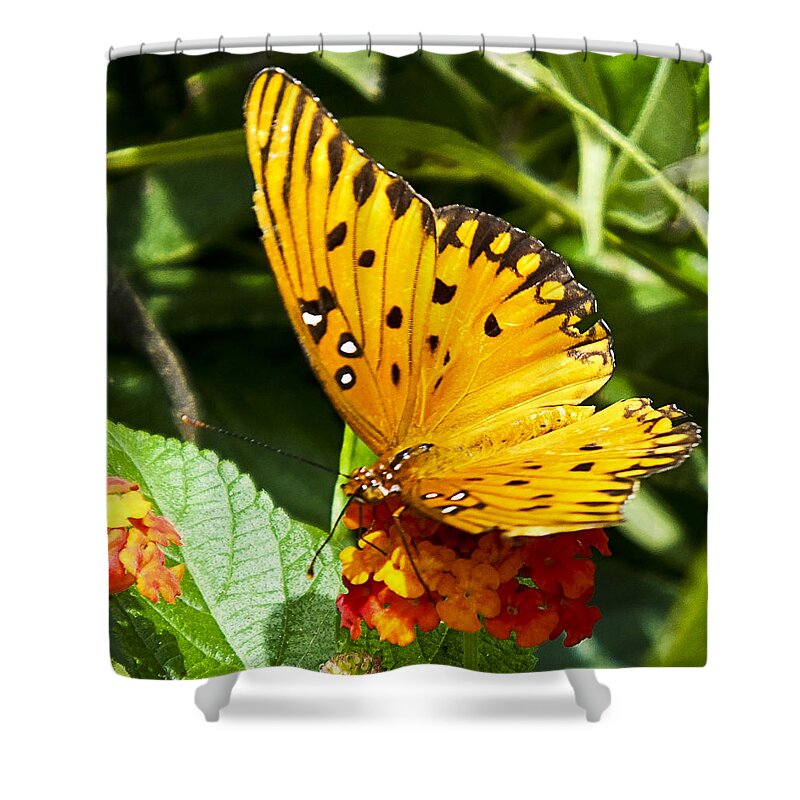 Butterfly Shower Curtain featuring the photograph Butterfly on Lantana by Bill Barber