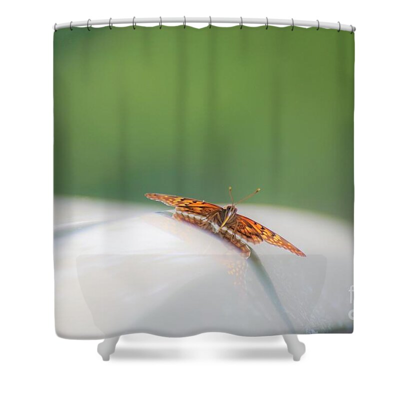Butterflies Shower Curtain featuring the photograph Butterfly on my car3 by Merle Grenz