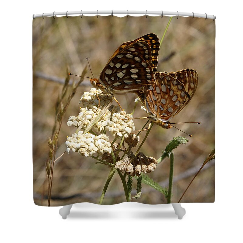 Butterfly Shower Curtain featuring the photograph Butterfly Photo #23 by Ben Upham III