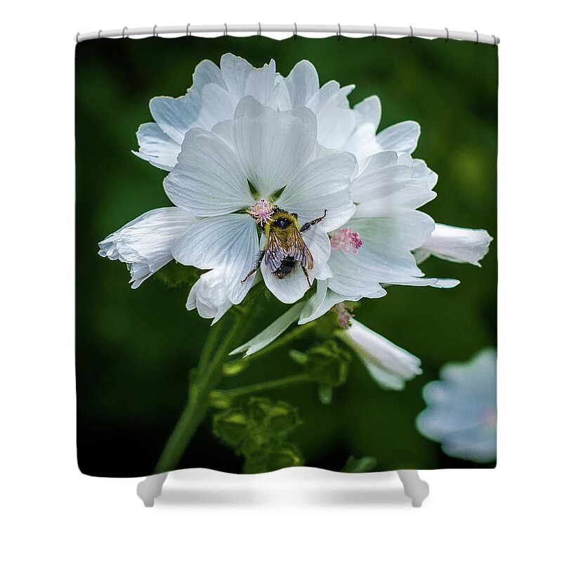 Bumblebee Shower Curtain featuring the photograph Buzz, Buzz, Buzz went the Bumble-bee by Gary McCormick