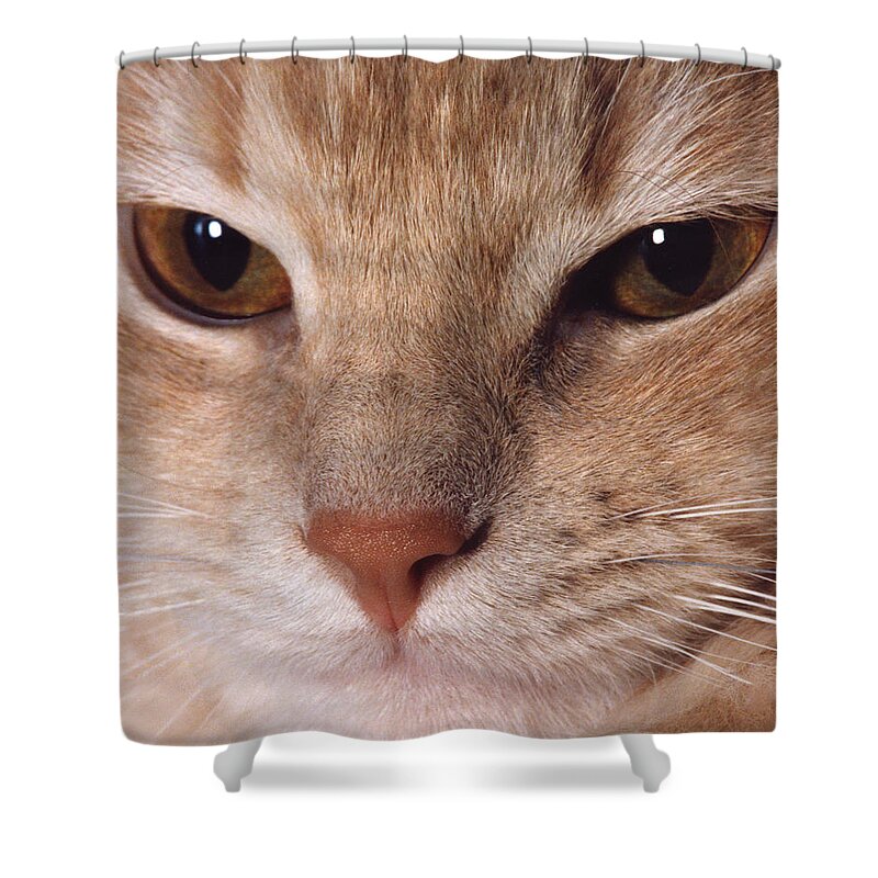 Faunagraphs Shower Curtain featuring the photograph C1 Patton by Torie Tiffany