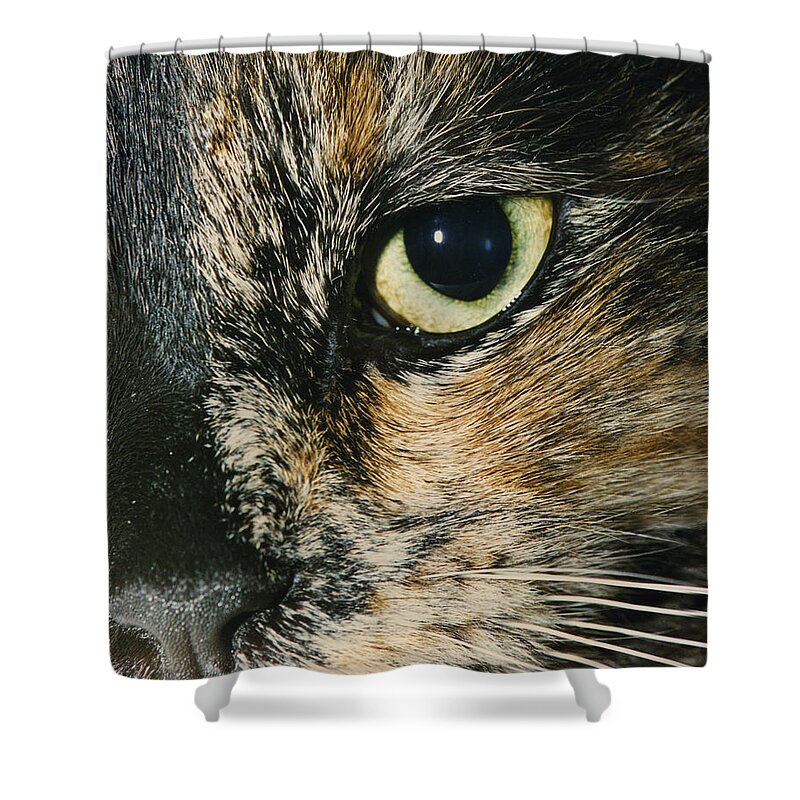 Faunagraphs Shower Curtain featuring the photograph C3 Ubie by Torie Tiffany