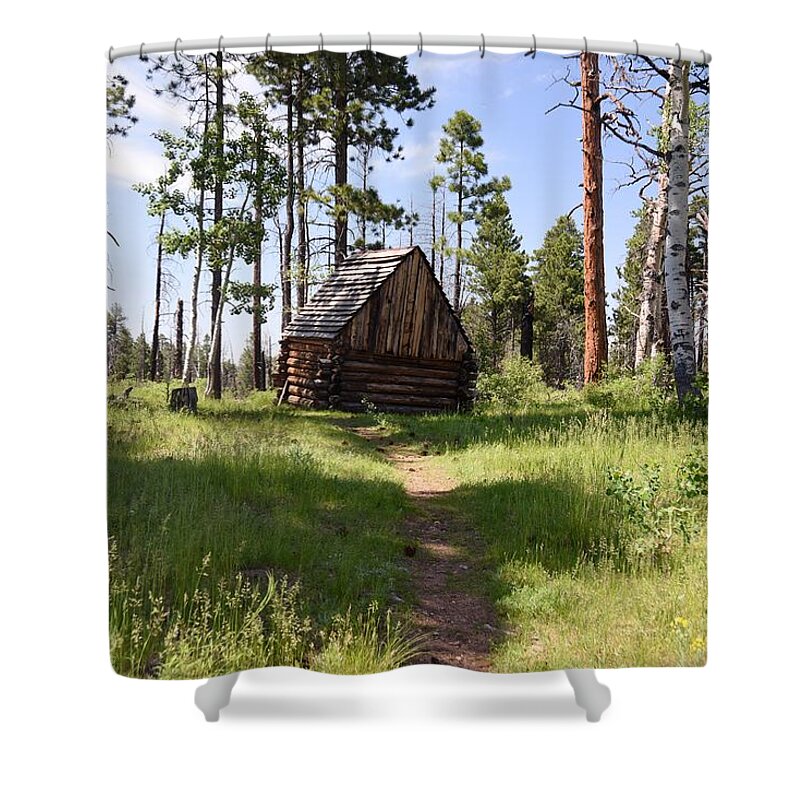 Photograph Shower Curtain featuring the photograph Cabin in the Woods by Richard Gehlbach