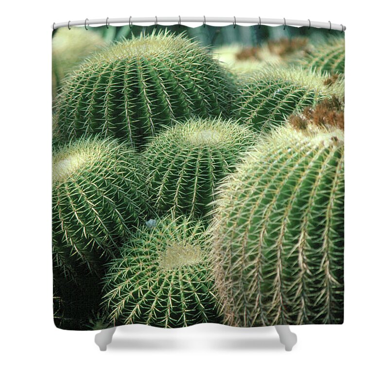 Cactus Shower Curtain featuring the photograph Cactus 4 by Andy Shomock