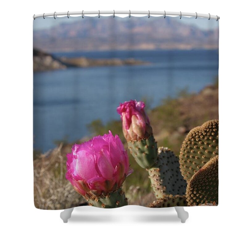 Cactus Shower Curtain featuring the photograph Cactus Flower by Jeff Floyd CA