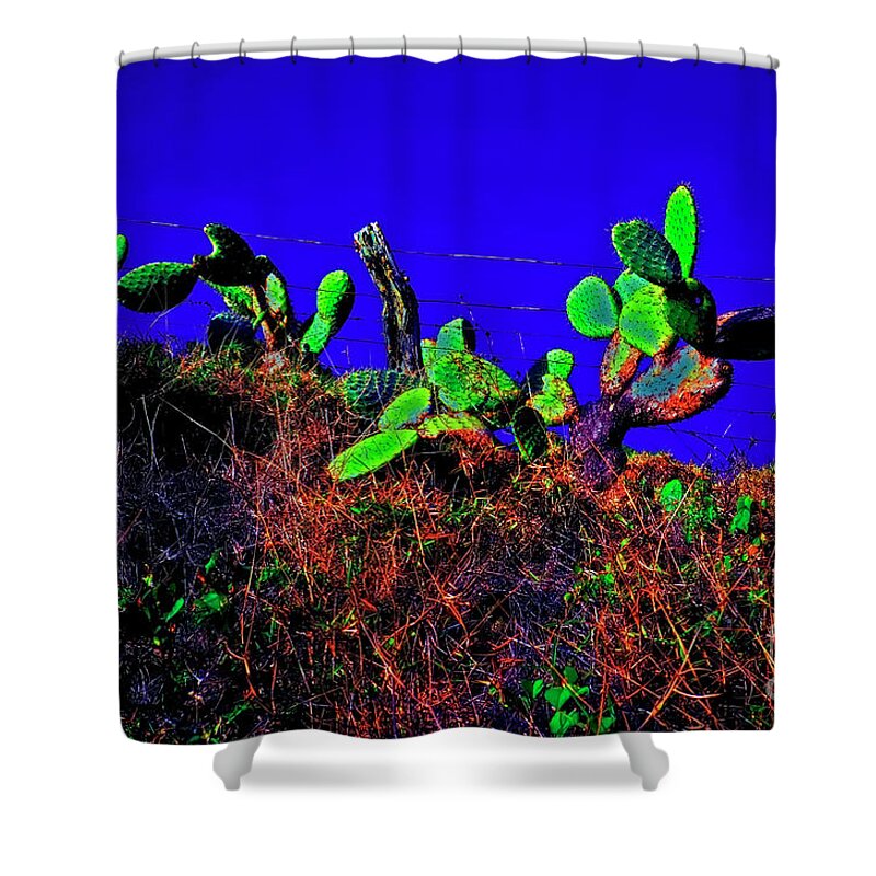 Cactus Shower Curtain featuring the photograph Cactus Hawaii big island road side by Tom Jelen