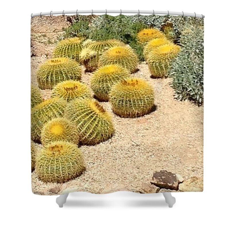 Landscape Shower Curtain featuring the photograph Cactus Parade by Glenda Zuckerman
