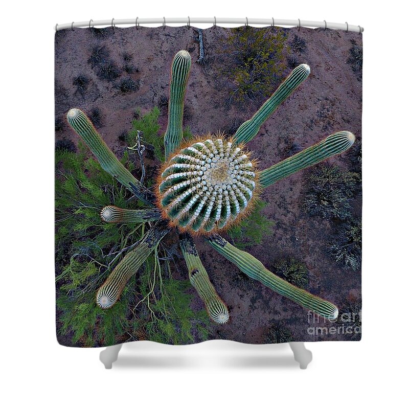 Cactus Shower Curtain featuring the digital art Cactus, saguaro long armed by Steve Winden
