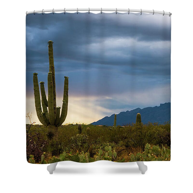 Arizona Shower Curtain featuring the photograph Cactus Sunset Saguaro National Park Arizona by Lawrence S Richardson Jr