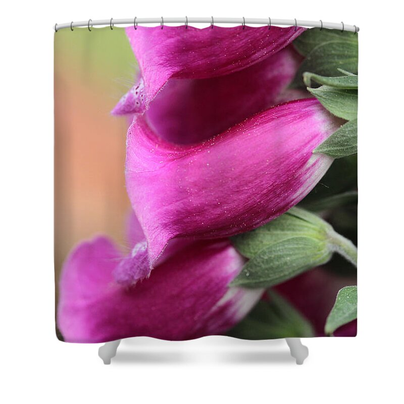 Wildflower Shower Curtain featuring the photograph Cadence by Connie Handscomb