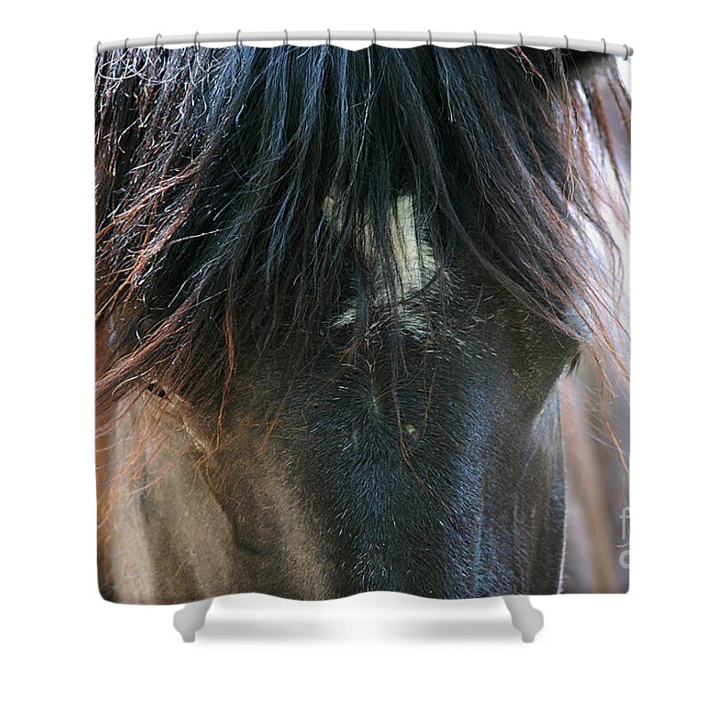 Cades Cove Shower Curtain featuring the photograph Cades Cove Horse 20160525_244 by Tina Hopkins