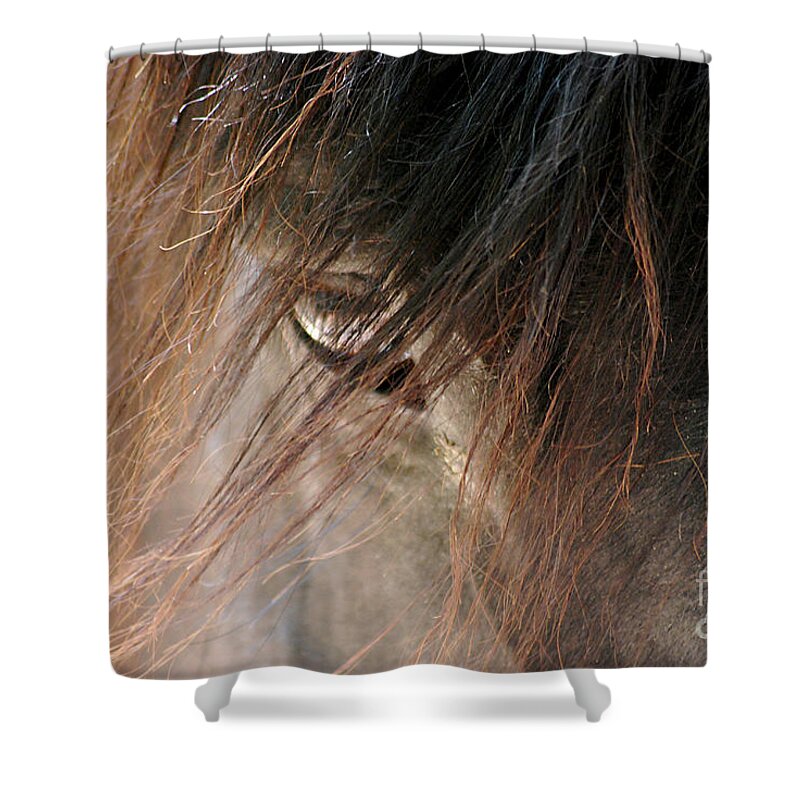 Cades Cove Shower Curtain featuring the photograph Cades Cove Horse 20160525_249 by Tina Hopkins