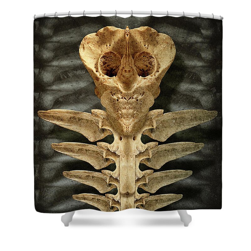Caduceus Shower Curtain featuring the digital art Caduceus by WB Johnston