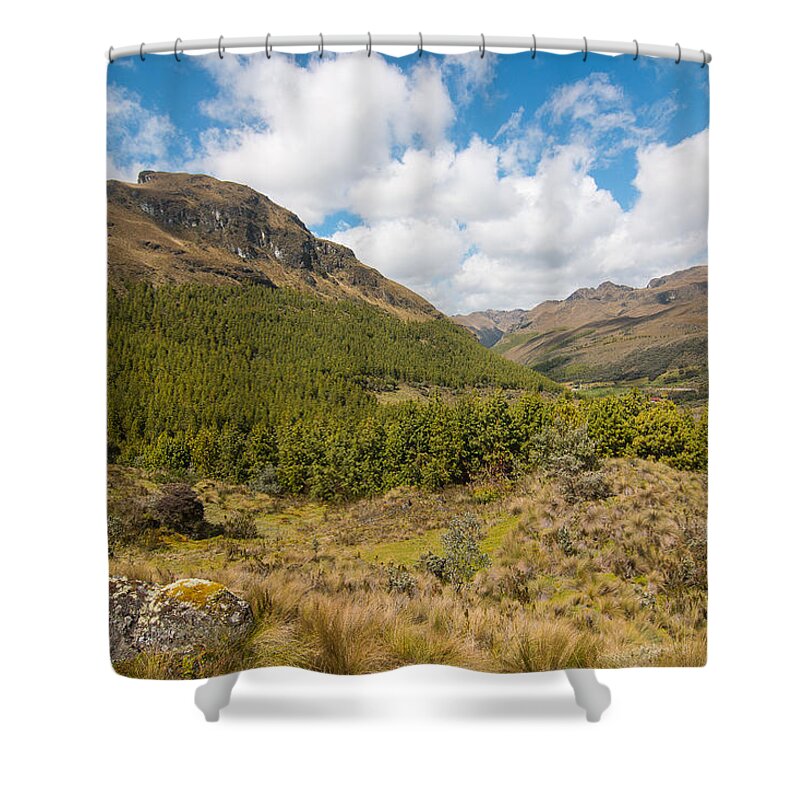 Pine Trees Shower Curtain featuring the photograph Cajas National Park and Pines by Robert McKinstry