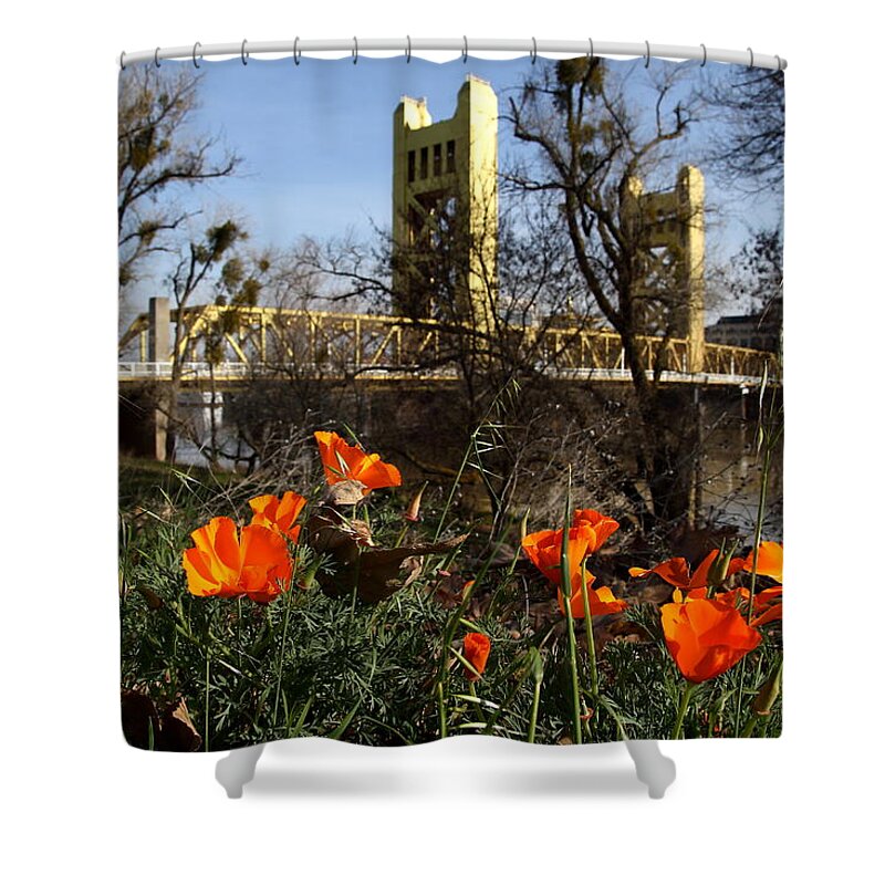 Landscape Shower Curtain featuring the photograph California Poppies With The Slightly Photographically Blurred Sacramento Tower Bridge In The Back by Wingsdomain Art and Photography